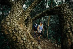 BIB: 
                            <button type="button" onclick="openModal(25668982)" class="btn btn-primary btn-sm float-right btn-popup" data-toggle="modal" data-target=".modal-high-quality">
                        <i class="fas fa-shopping-cart"></i> Add to Cart
                    </button>
                                            <button type="button" onclick="isThisMe(25668982, true)" class="btn btn-success btn-sm float-right btn-popup btn-isme hidden" data-toggle="tooltip" data-placement="bottom" title="นี่คือรูปของคุณใช่ไหม คลิกที่นี่เพื่อเอาเข้าอัลบั้ม">
                        <i class="fas fa-plus"></i> Add to album
                    </button>
                    <button type="button" onclick="isThisMe(25668982, false)" class="btn btn-warning btn-sm float-right btn-popup btn-isnotme hidden">
                        <i class="fas fa-ban"></i> Remove from album
                    </button>